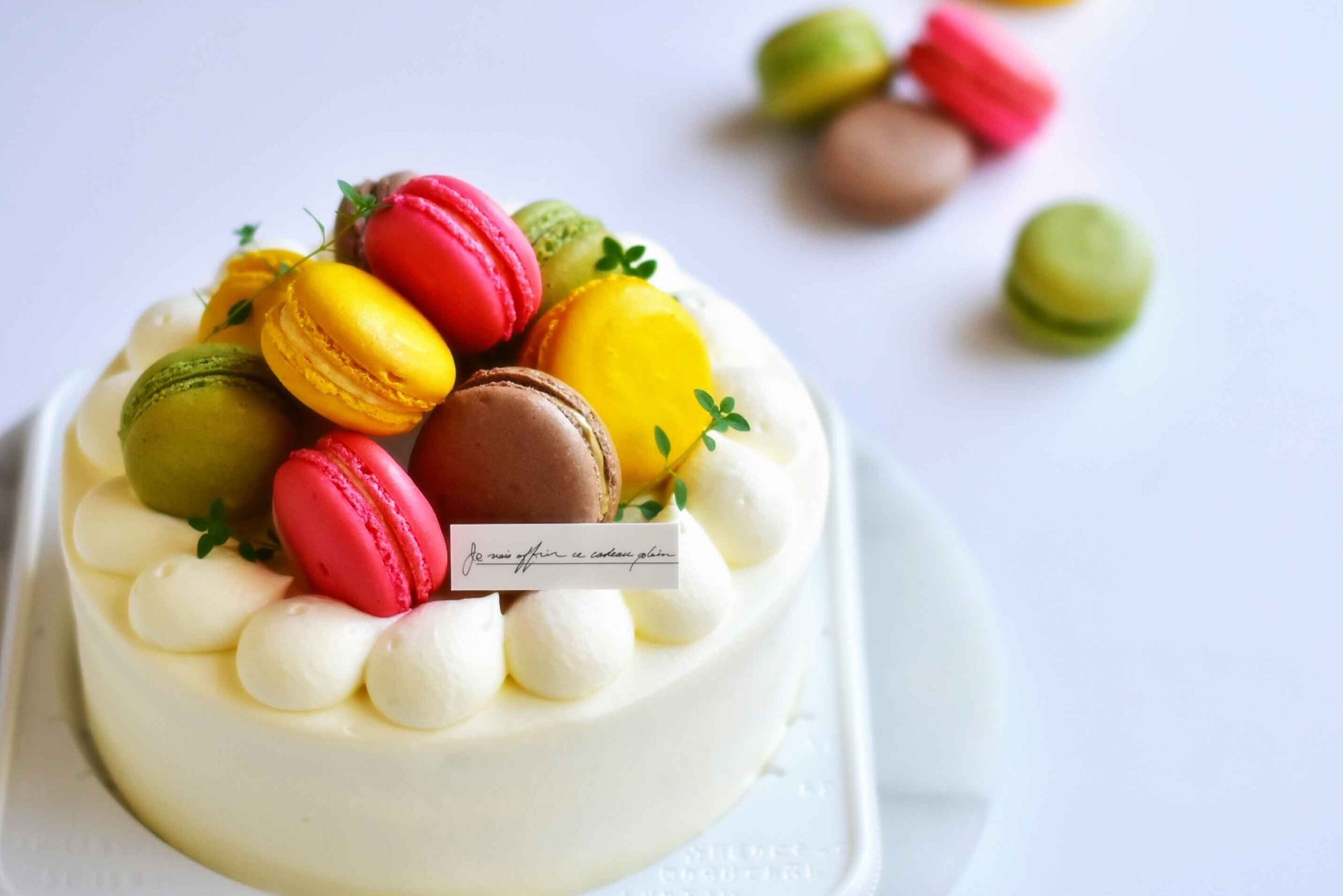 ねこと料理教室